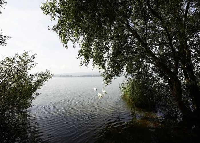 Hotel Bora Hotsparesort 4*