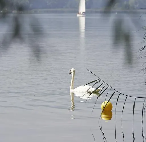 Bora Hotsparesort Hotel Radolfzell am Bodensee
